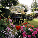 New Forest Hotel, our Gardens in summer time.