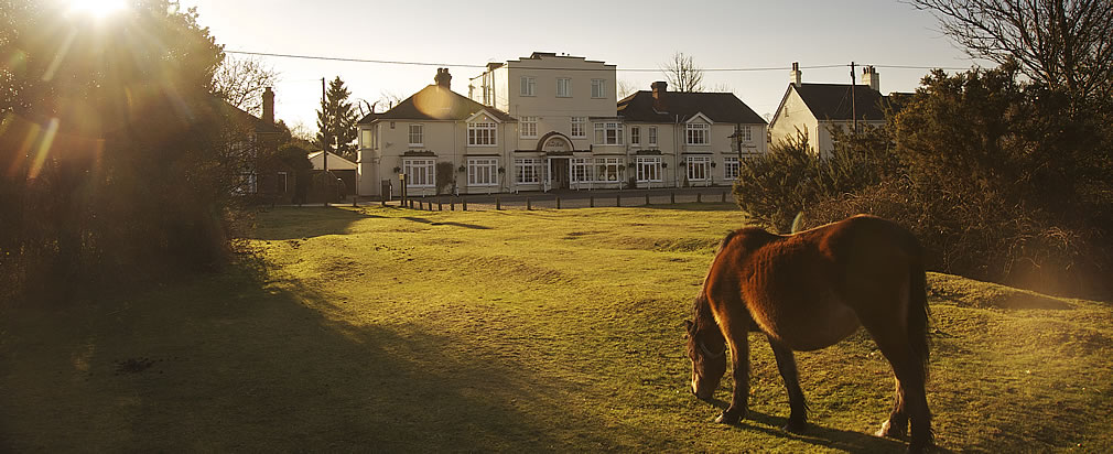 The Perfect New Forest Retreat